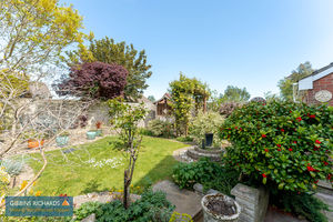 Garden- click for photo gallery